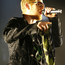 peter fox - frequency festival 2009 - st_p__lten - florian wieser _15_.jpg