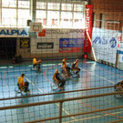DSC06093.JPG