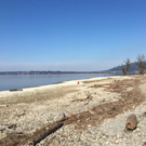 Bildschirmfoto 2018-03-26 um 12_23_09.png