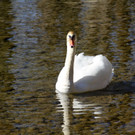 IMG_8917.JPG