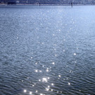 IMG_8929.JPG