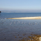 IMG_8931.JPG