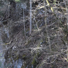 DSC_0132.JPG