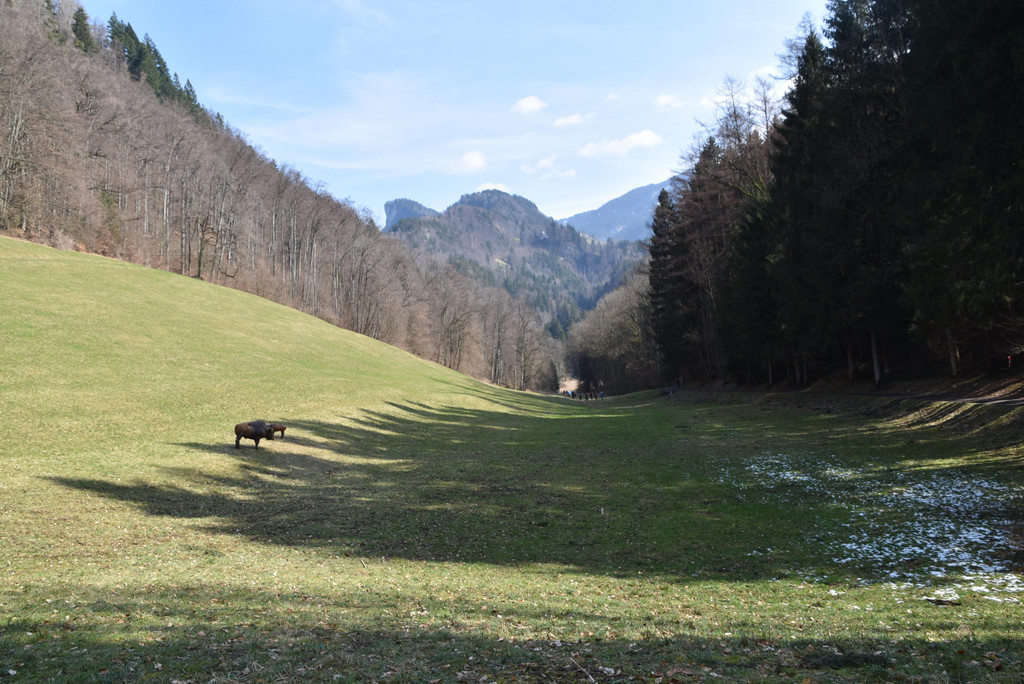 DSC_0161.JPG