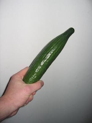 966484.jpg