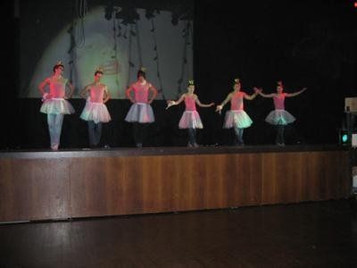 966466.jpg