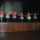 966466.jpg