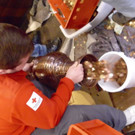 Aganigi Naganigi übergibt Spende an Rotes Kreuz