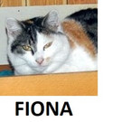 Fiona _2_.jpg
