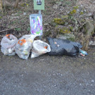 DSCN9919.JPG