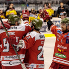 ABD0116-20180327.jpg