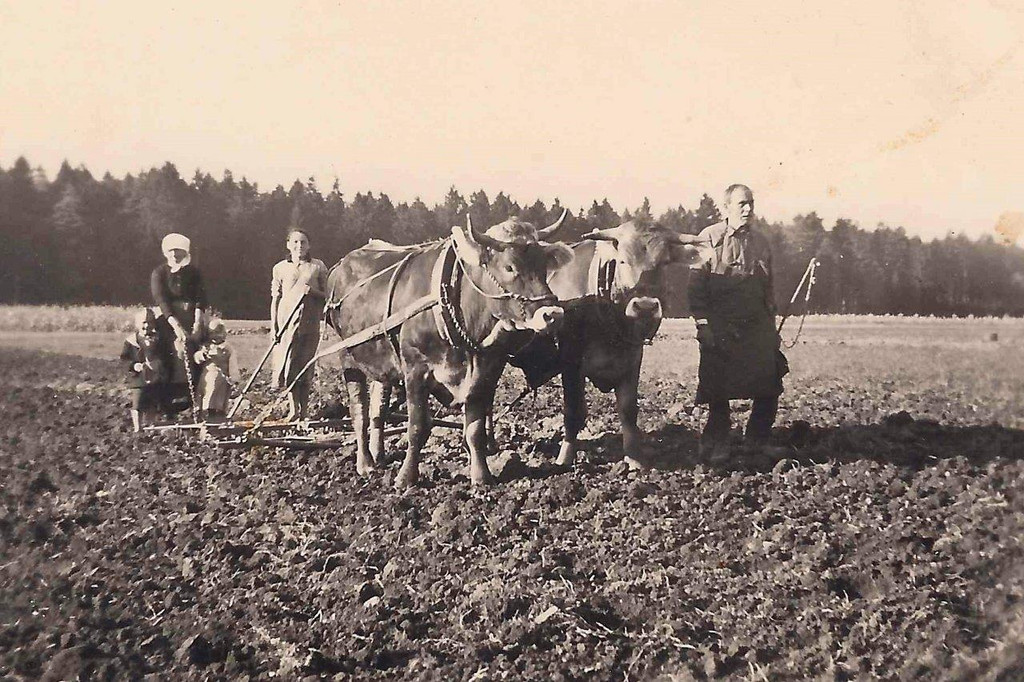 Familie B__chel Konrad.jpg