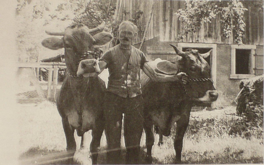 Schatzmann Meinrad_ Schneidermeister.jpg