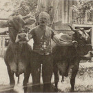 Schatzmann Meinrad_ Schneidermeister.jpg