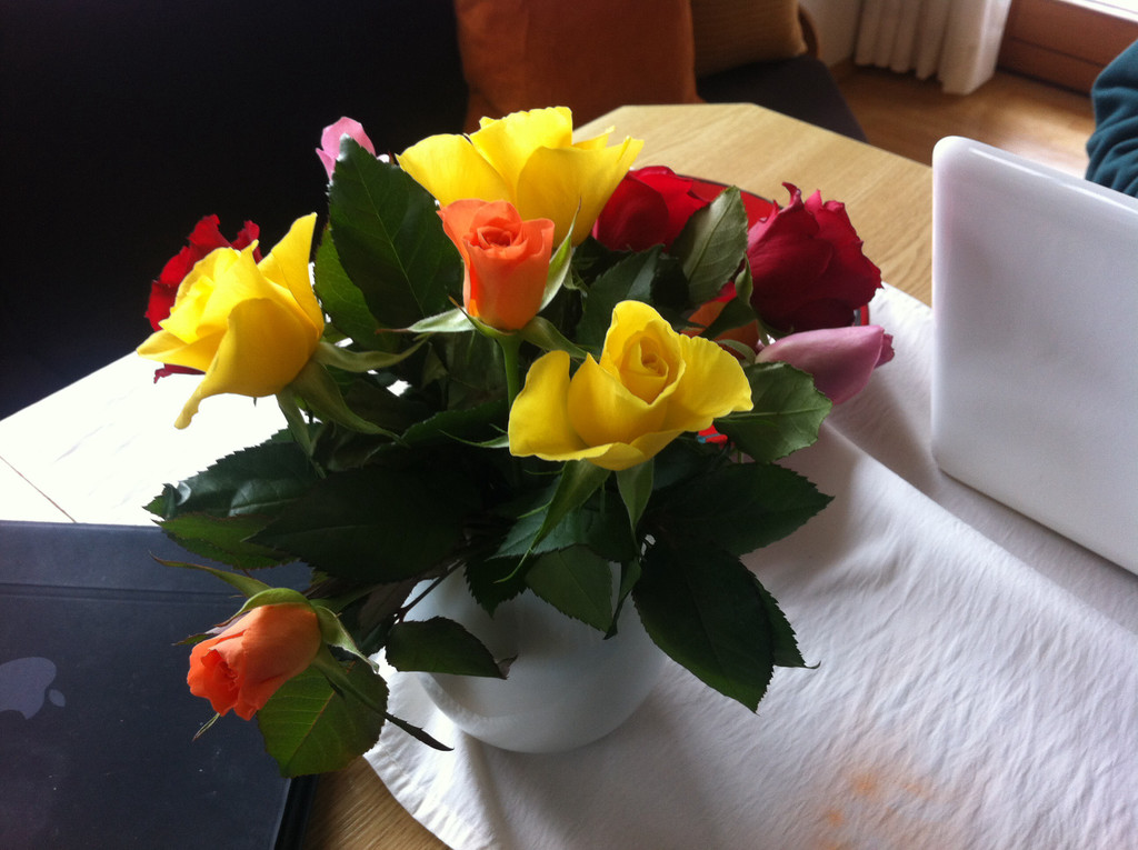 blumen1.JPG