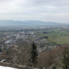 IMG_3178.jpg