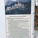 IMG_3197.jpg