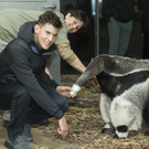 Thiem im Wiener Tiergarten Schönbrunn