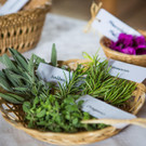 GenussFest __ SKB - Astrid Knie _1_.jpg