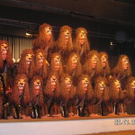 971846.jpg