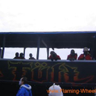 972196.jpg