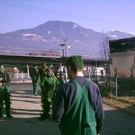 972464.jpg