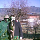 972466.jpg