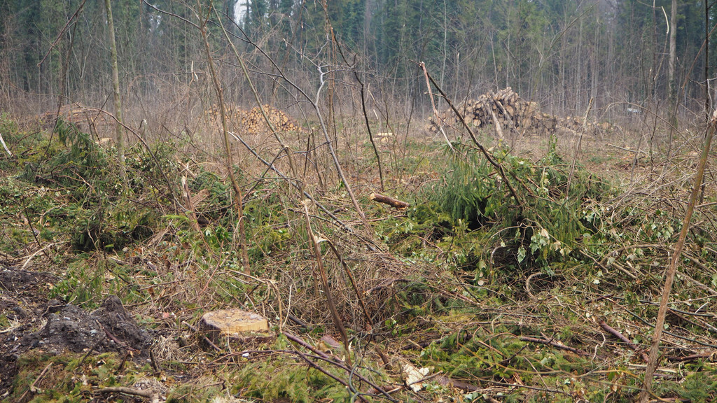 P3266211.JPG