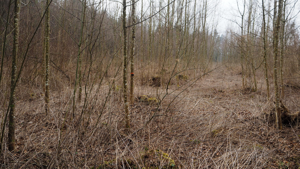 P3266229.JPG