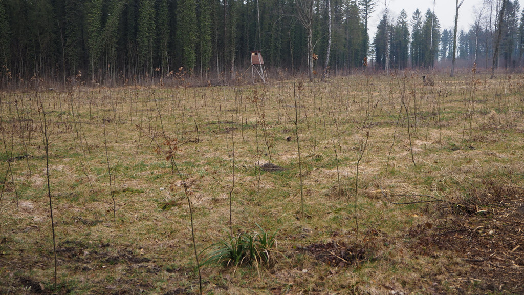 P3266234.JPG