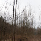P3266232.JPG