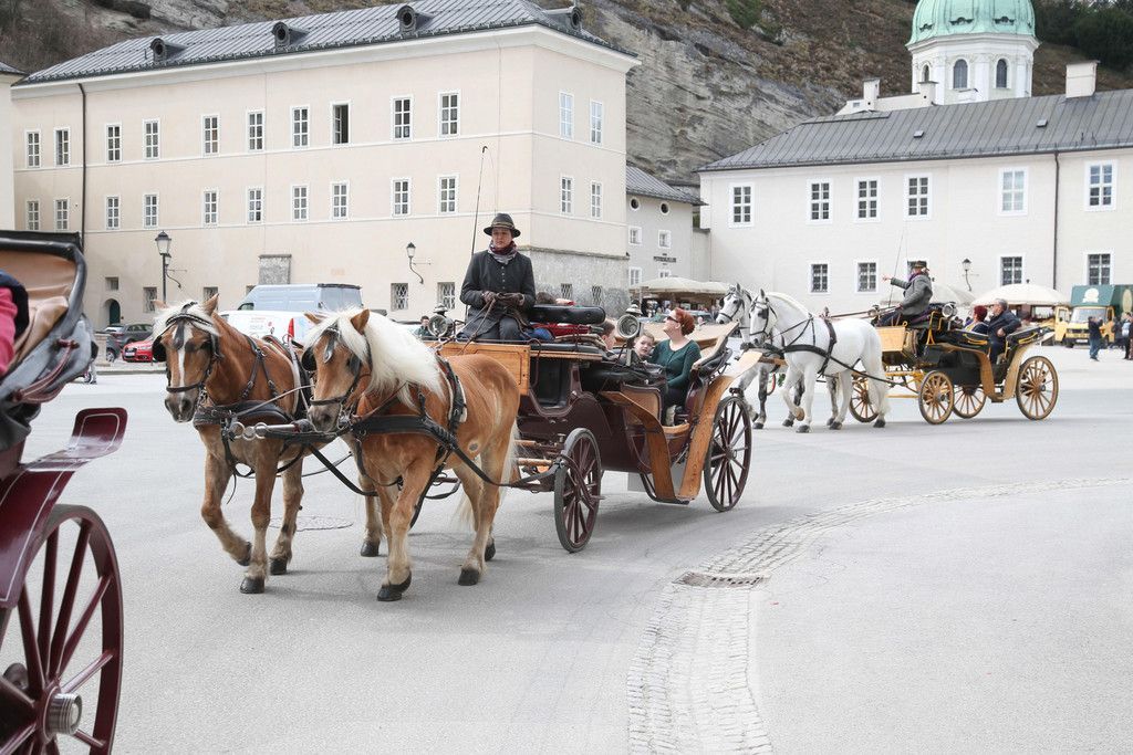 Fr__hling_Salzburg20180403012.jpg