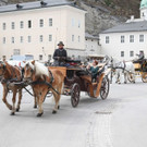 Fr__hling_Salzburg20180403012.jpg