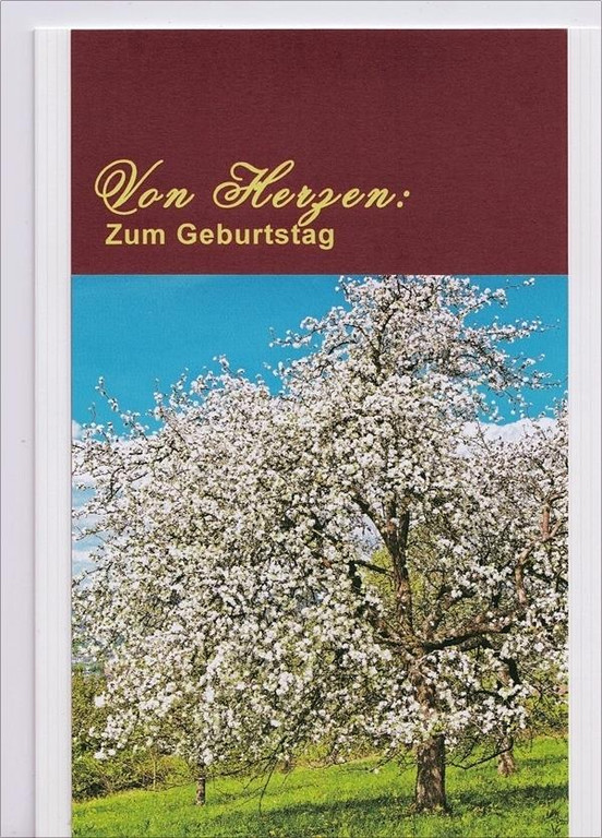 Fruehlingsbaum.jpg