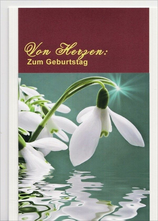 Schneegloeckchen.jpg