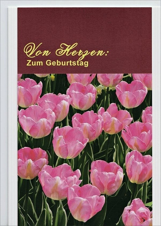 Tulpen_lila.jpg