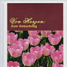 Tulpen_lila.jpg