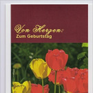Tulpen_Rot.jpg