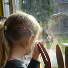 DSC01064.JPG