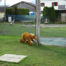 DSC01068.JPG