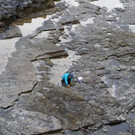 Dinosaurier-Abdrücke in Schottland