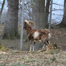 IMG_1457.JPG