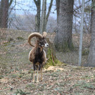 IMG_1458.JPG