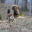 IMG_1459.JPG