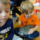 20_2_18-Hasenbesuch im Zwergengarten _25_.JPG