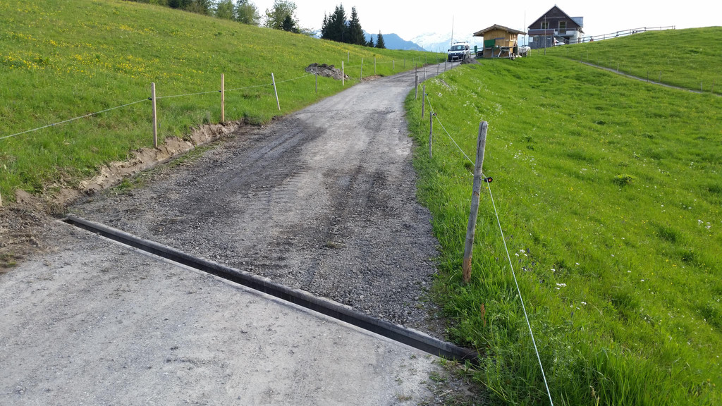 Freiwilligentag 16 _12_.jpg
