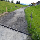 Freiwilligentag 16 _12_.jpg