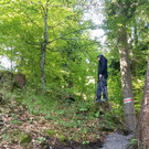 Freiwilligentag 16 _31_.jpg