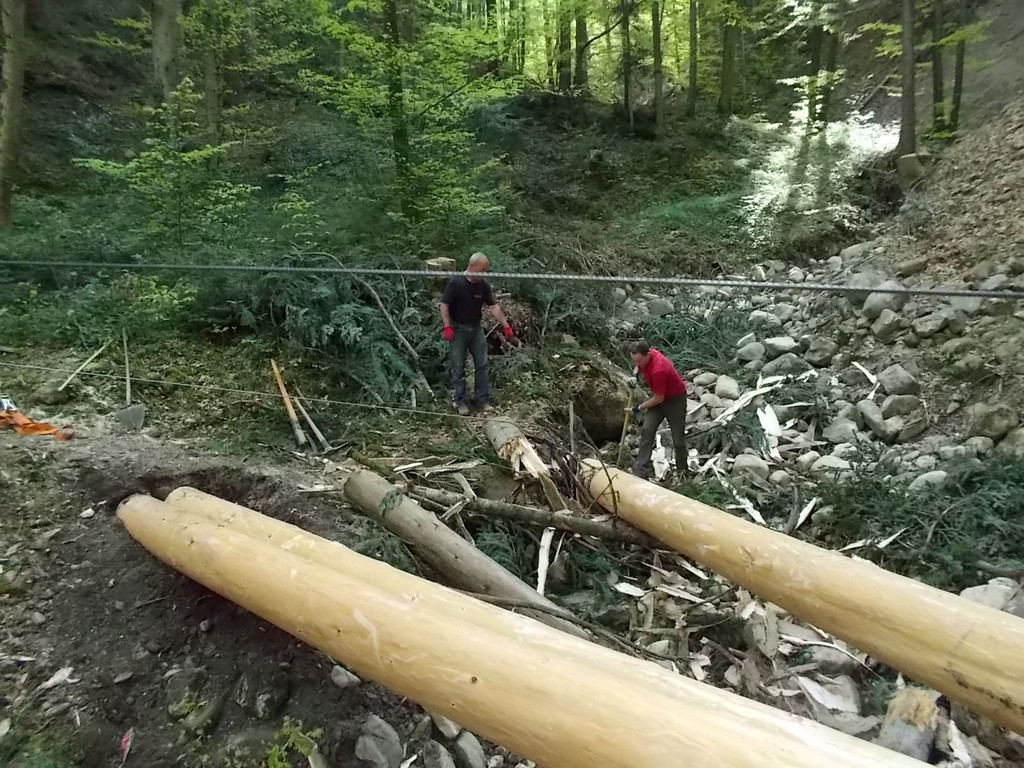 Freiwilligentag 2015 _12_.JPG