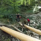 Freiwilligentag 2015 _12_.JPG
